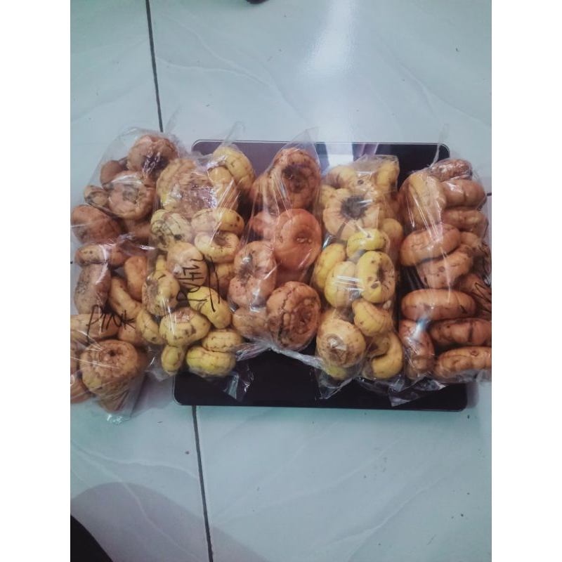 Jual Bunga Gladiol Terlengkap & Harga Terbaru Oktober 2026 | Shopee ...