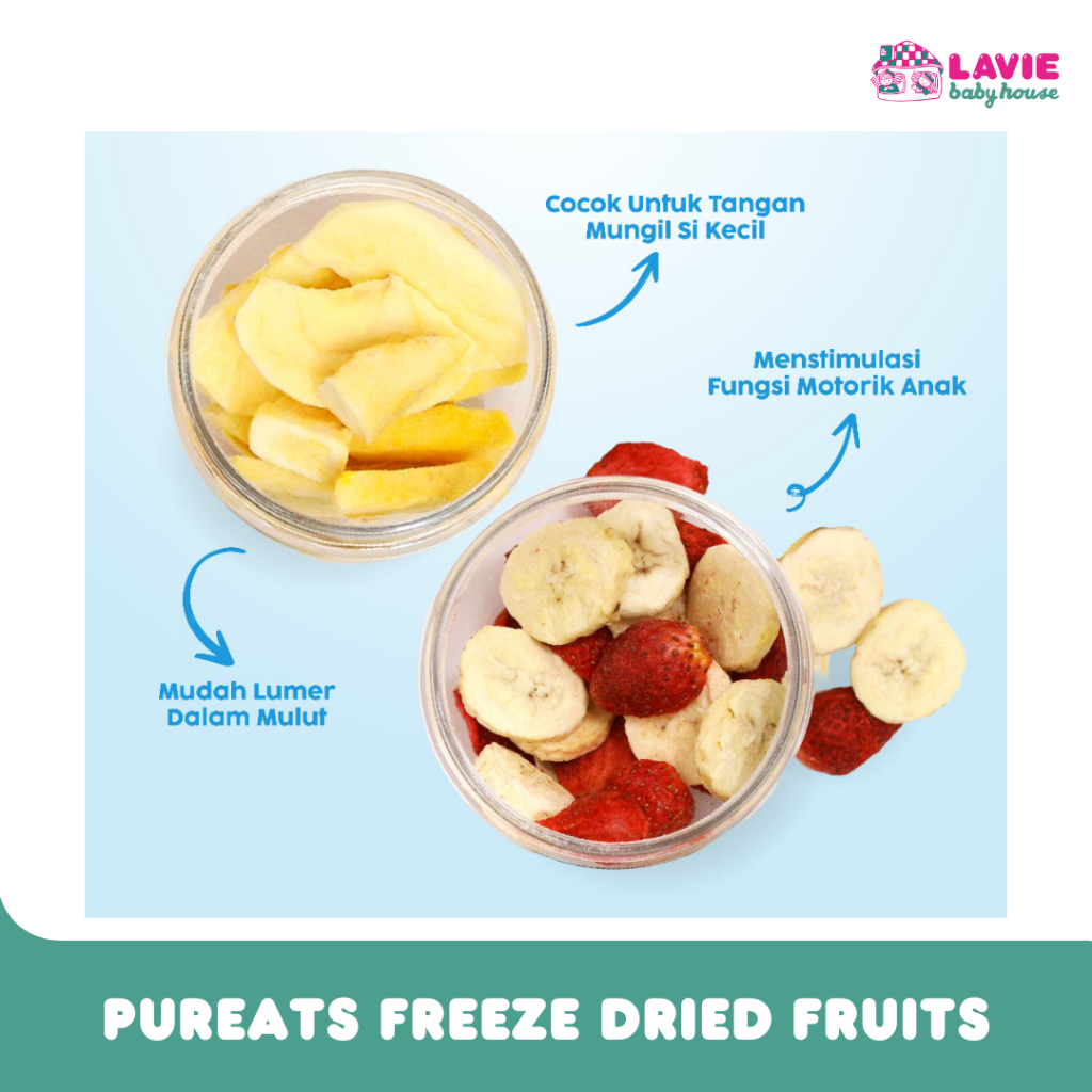 Jual Pureats Freeze Dried Fruits 15g / Cemilan Buah Kering | Shopee ...