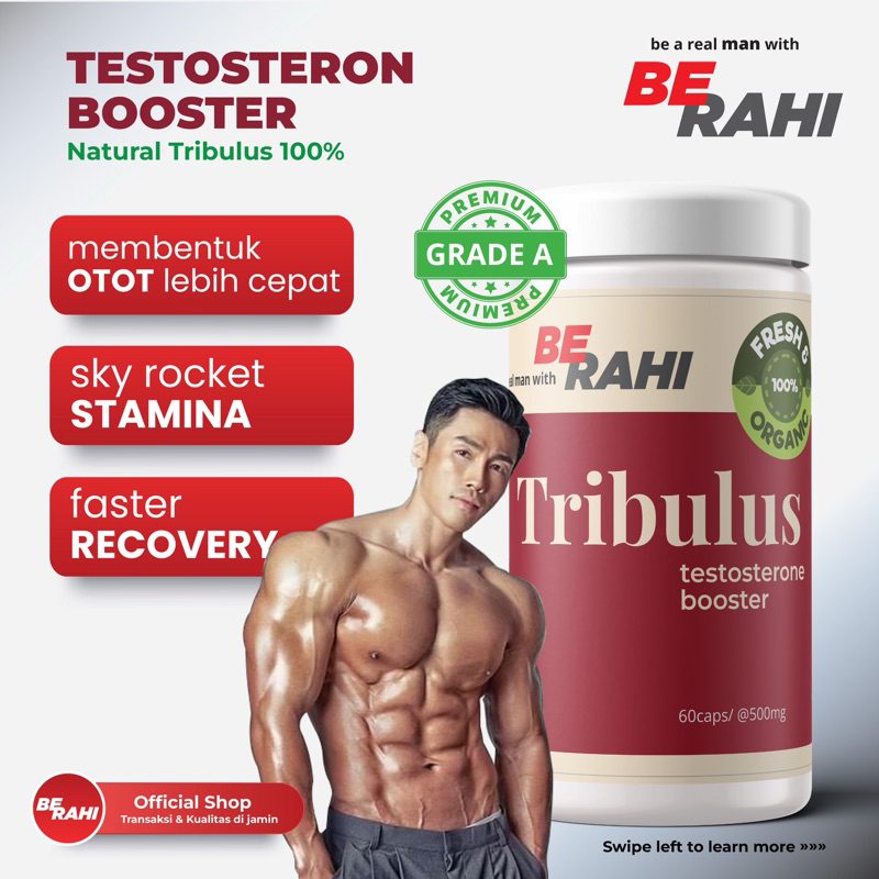 Jual BERAHI- TRIBULUS GARDE A 100% PENUNJANG PEMBENTUKAN OTOT - 60 caps ...
