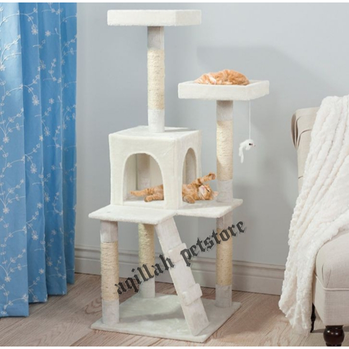 Jual Cat Tree Condo Rumah Kucing Lantai Untuk Usia Dewasa Size Jumbo Uk Kotak Cm Murmer Hanya