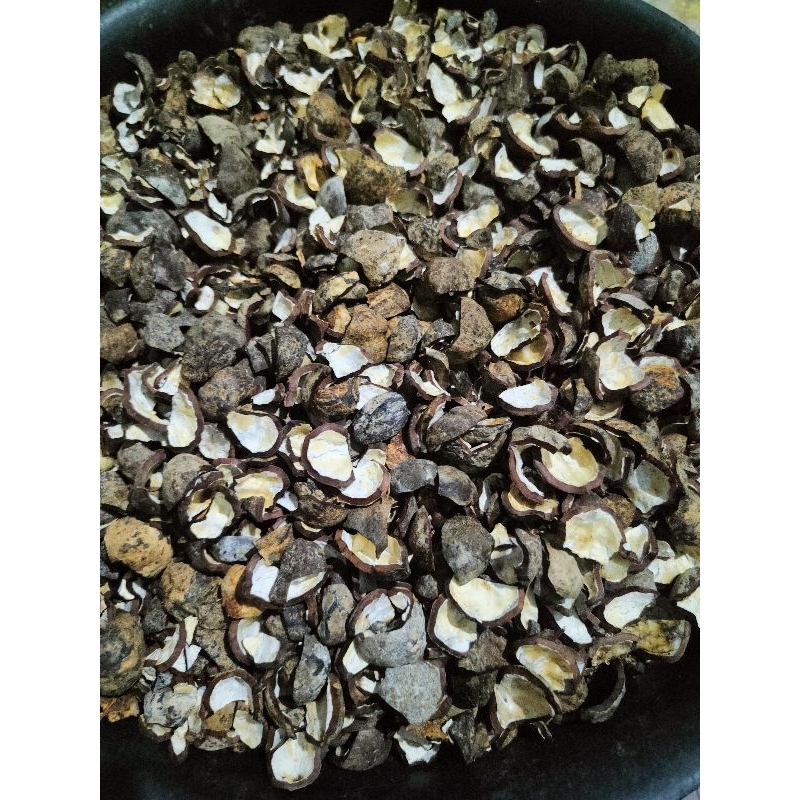 Jual tempurung/cangkang/batok kemiri (1kg) | Shopee Indonesia