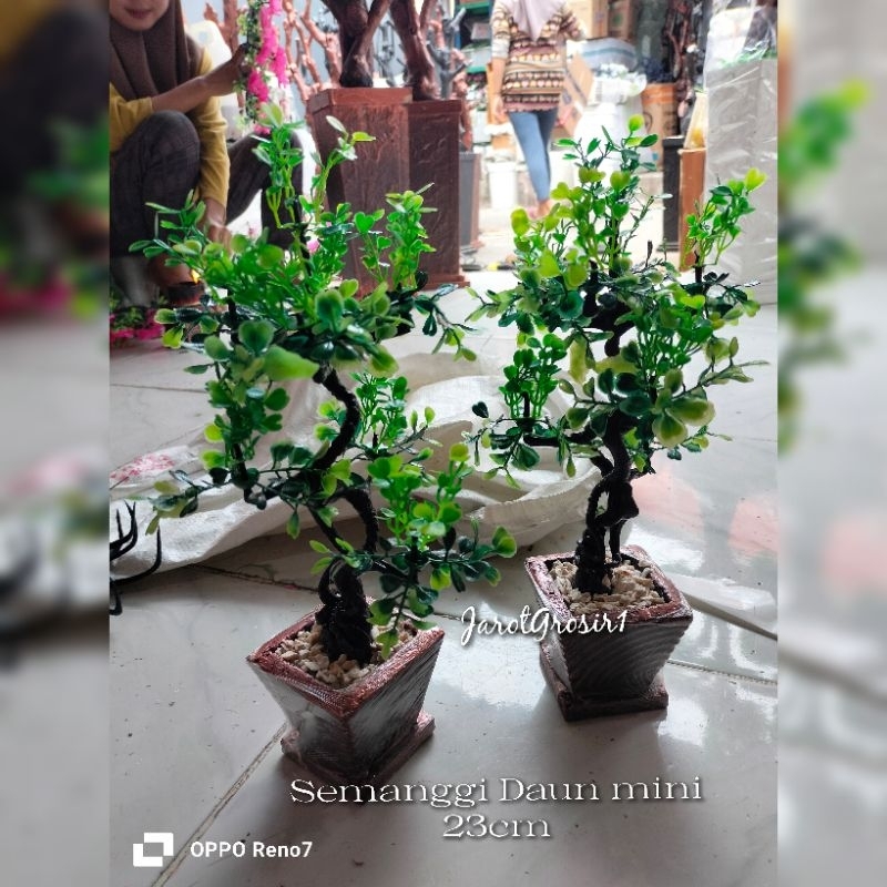 TANAMAN PAJANGAN IMITASI DENGAN POT BEBATUAN // TANAMAN ARTIFICIAL DEKORASI + POT // BUNGA HIAS ARTIFICIAL DEKORASI RUANGAN BUNGA HIAS SEMANGGI MEJA // BUNGA HIAS SEMANGGI MEJA TINGGI 22CM