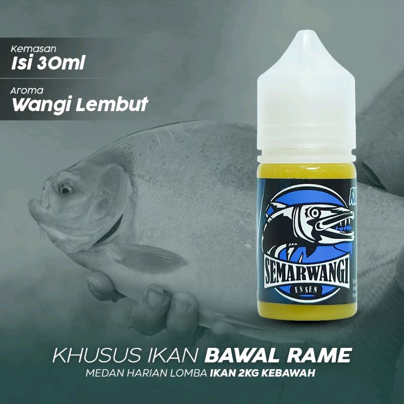 Jual Semarwangi Essen Ikan Bawal Mancing Harian Kilo Gebrus Induk Babon