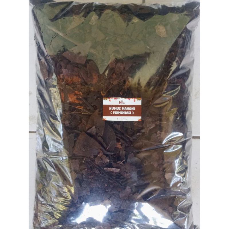 Jual humus/andam mahoni(fermentasi)5liter | Shopee Indonesia