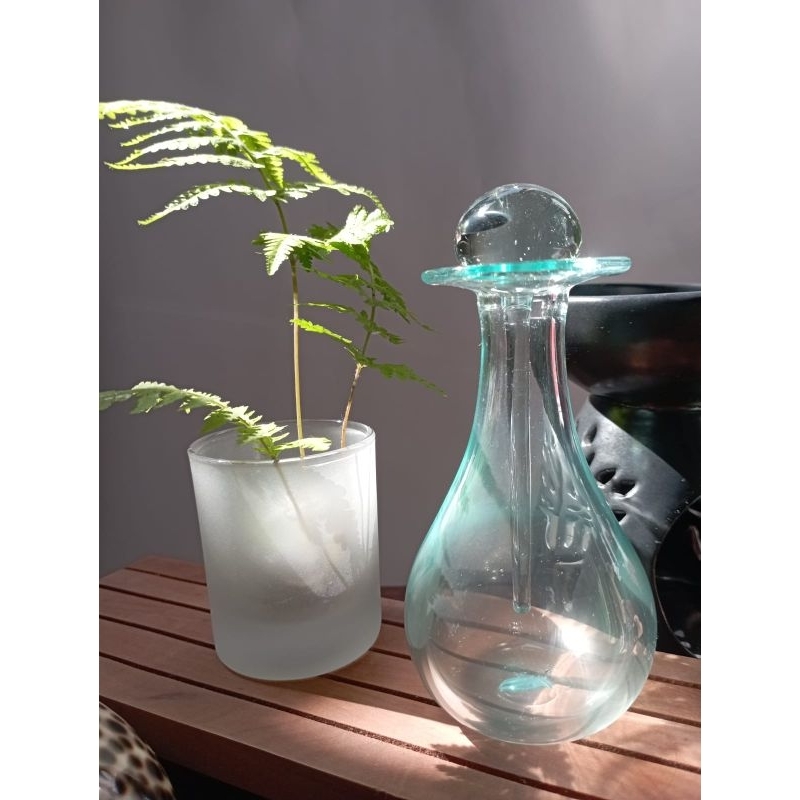 Jual Oil Spa Glass Bottle Display (High) | Shopee Indonesia