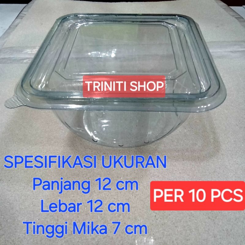 Jual Mika Untuk Salad Tray Salad Tray Buah Per 10 Pcs Shopee