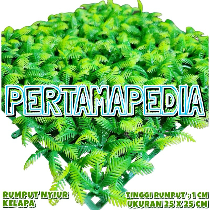 Jual (SILAHKAN DIPILIH) RUMPUT AQUARIUM HIJAU UKURAN 25x25 CM/ RUMPUT ...