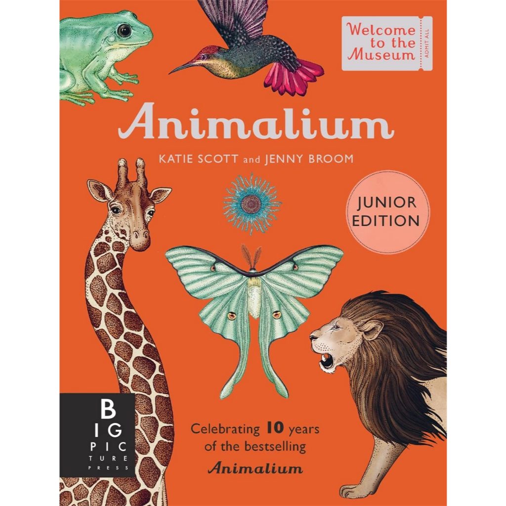 Jual Animalium (Junior Edition) | Shopee Indonesia