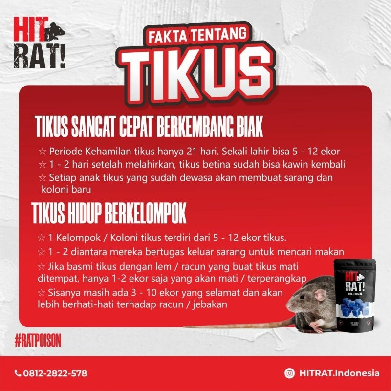 Jual 100 Gram Racun Tikus HitRat Pembasmi Koloni Tikus Original Anti ...