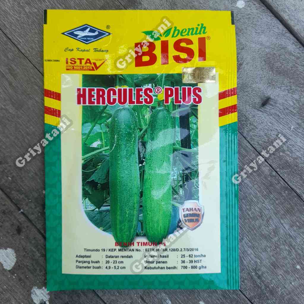 Jual Benih Timun Hercules Plus 10 gr Timun Besar Hibrida | Shopee Indonesia