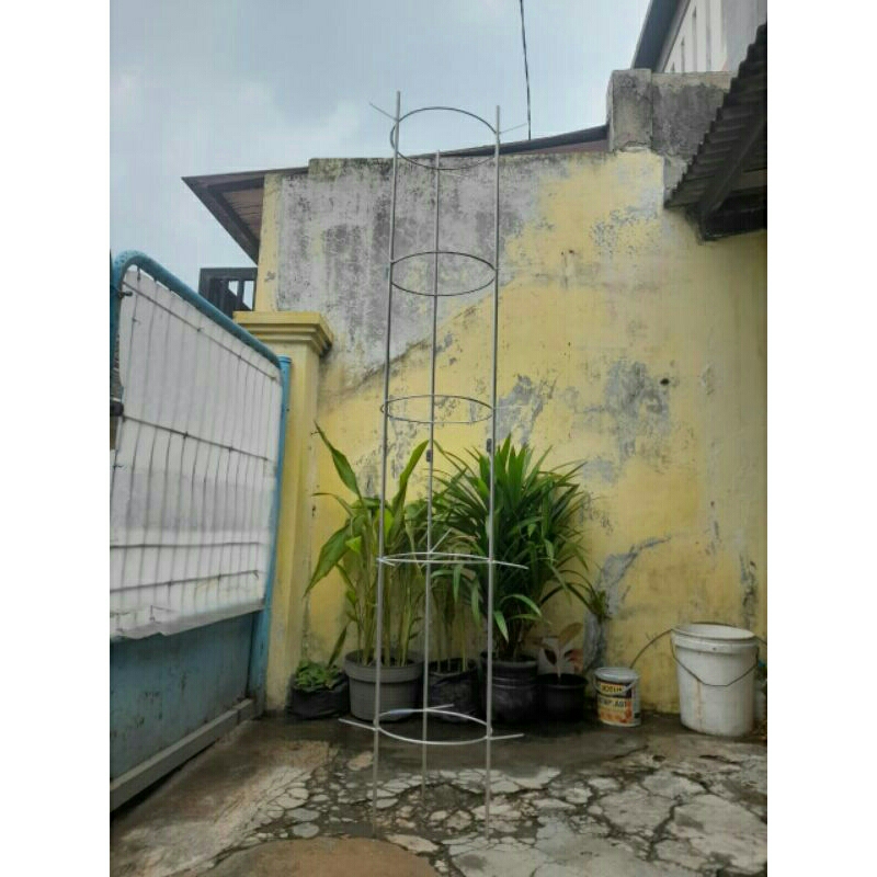 Jual tiang rambatan anggur tinggi 2 meter | Shopee Indonesia