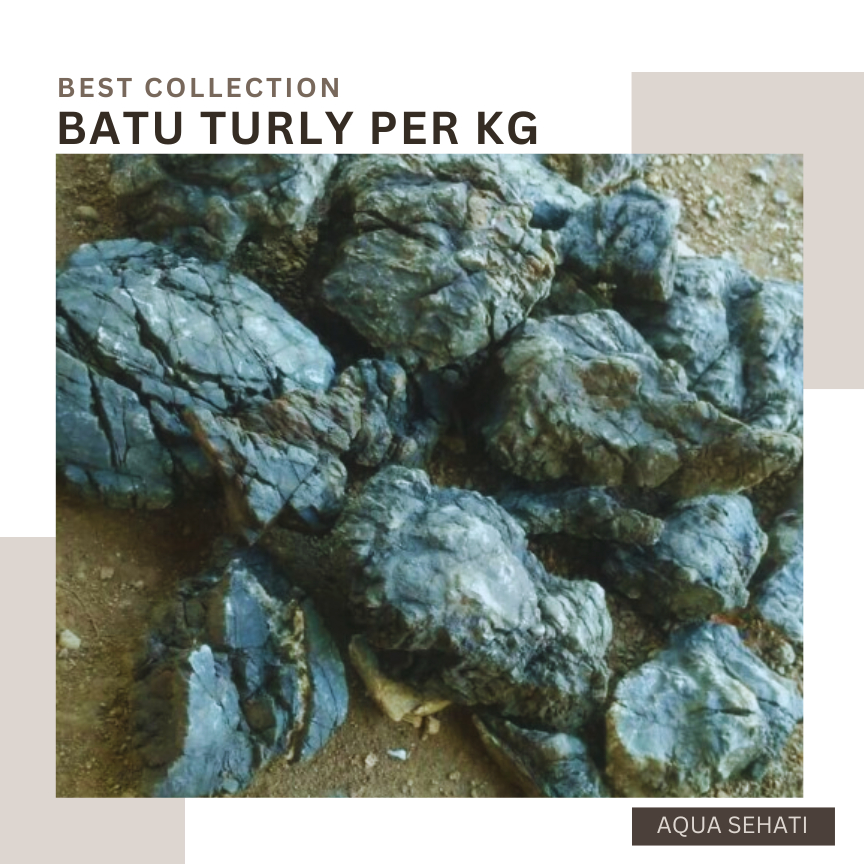 Jual BATU TURLY PER KG TURLEY TURLI AQUASCAPE HARDSCAPE | Shopee Indonesia