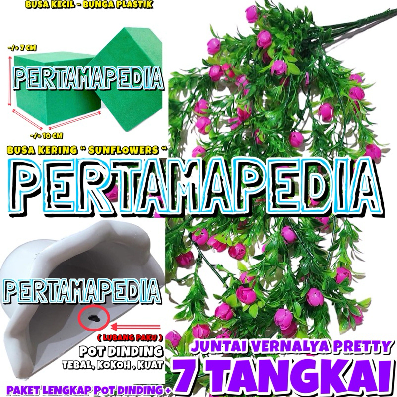Jual PAKET LENGKAP POT JUNTAI VERNALYA PRITI/ Bunga Merambat/ Bunga ...