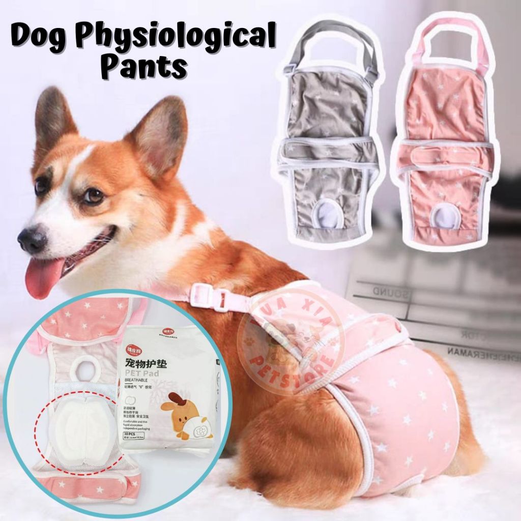 Jual Celana Menstruasi Anjing Betina Dog Physiological Pants