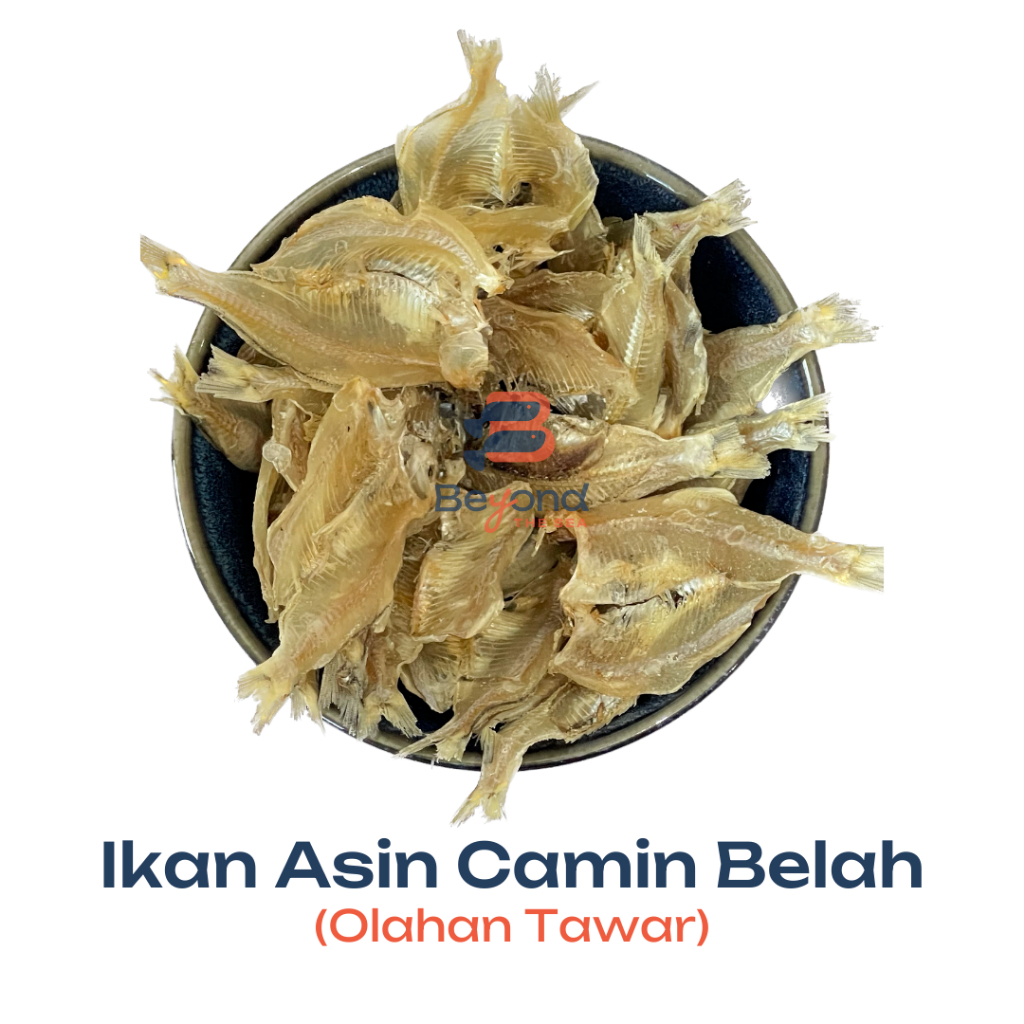 Jual Ikan Asin Camin Belah Tawar Ikan Asin Kerupuk Gr Shopee Indonesia