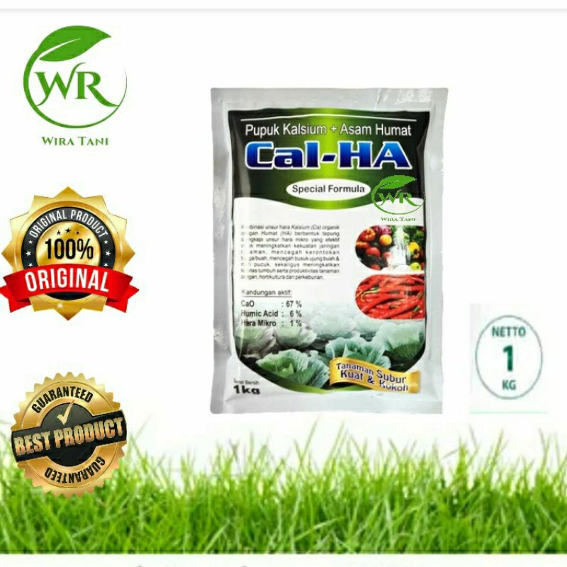 Jual Cal Ha 1 kg Pupuk Kalsium + Asam humat CalHA 100% Original [MMT ...