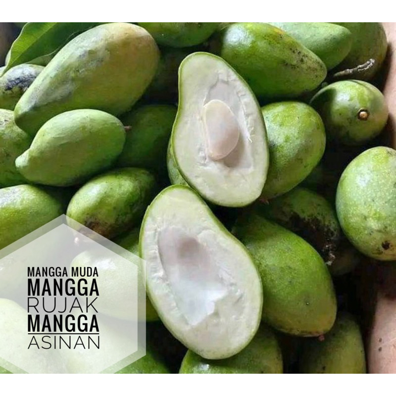 Jual BUAH MANGGA MUDA MANGGA RUJAK MANGGA ASINAN GARING 1KG | Shopee ...