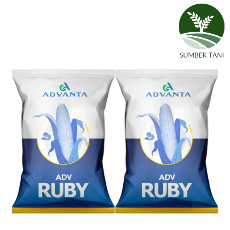 Jual Benih Jagung Ruby ADVANTA 1KG | Shopee Indonesia