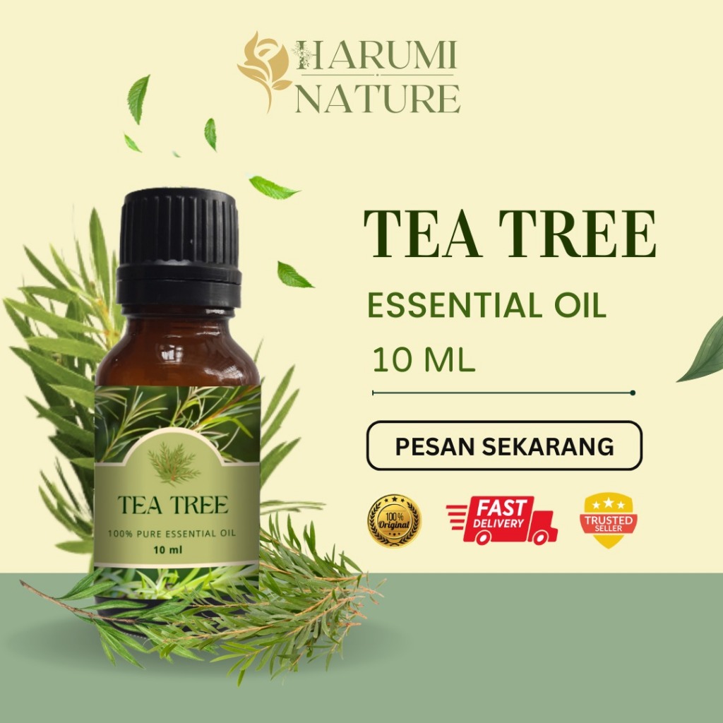 Jual Tea Tree Essential Oil Minyak Tea Tree | Shopee Indonesia