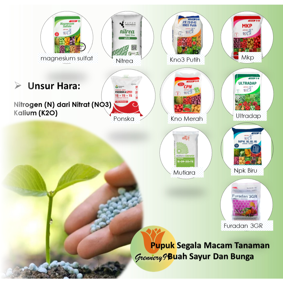 Pupuk Segala Macam Tanaman  Buah Sayur Dan Bunga
