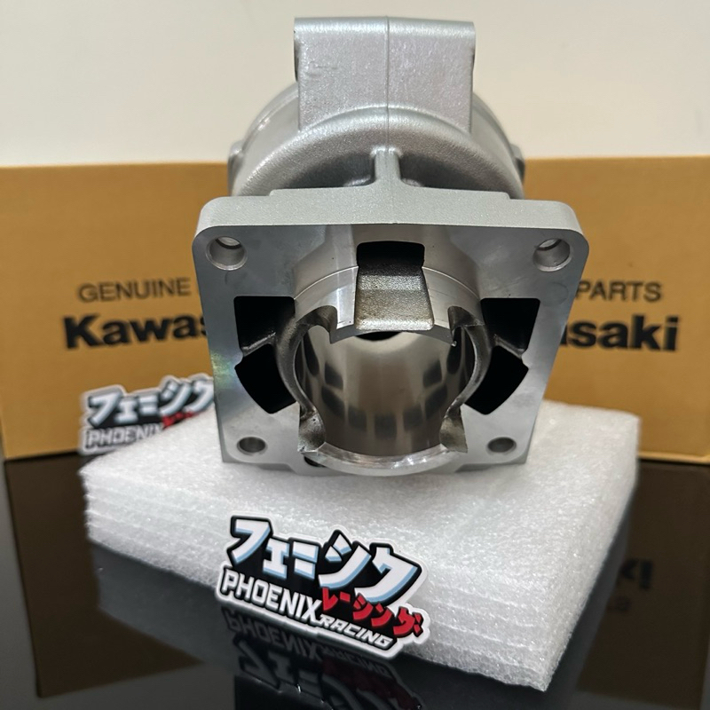 Jual Cylinder Blok Block Ninja 1855 Silver Original Kawasaki Genuine ...
