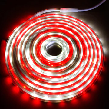 PAKET 5 15Meter Lampu LED Strip RGB Warna Warni Flash Kedip Selang 3528 2835 5050 220v Lampu