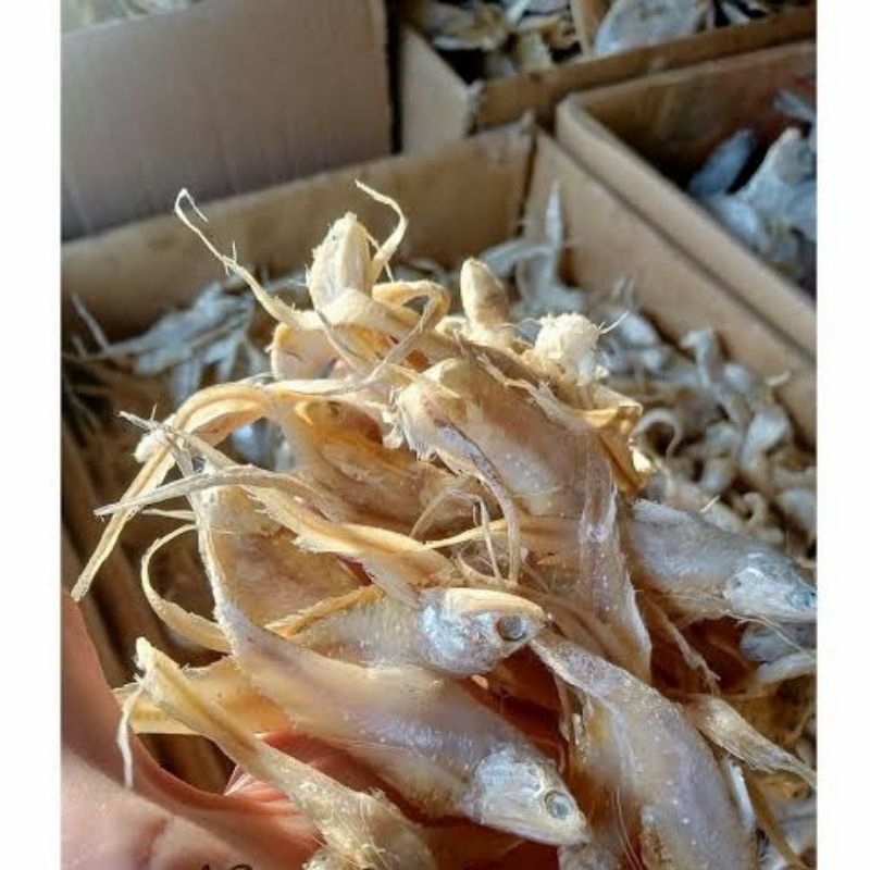 Jual ikan asin bulu ayam 500grm | Shopee Indonesia