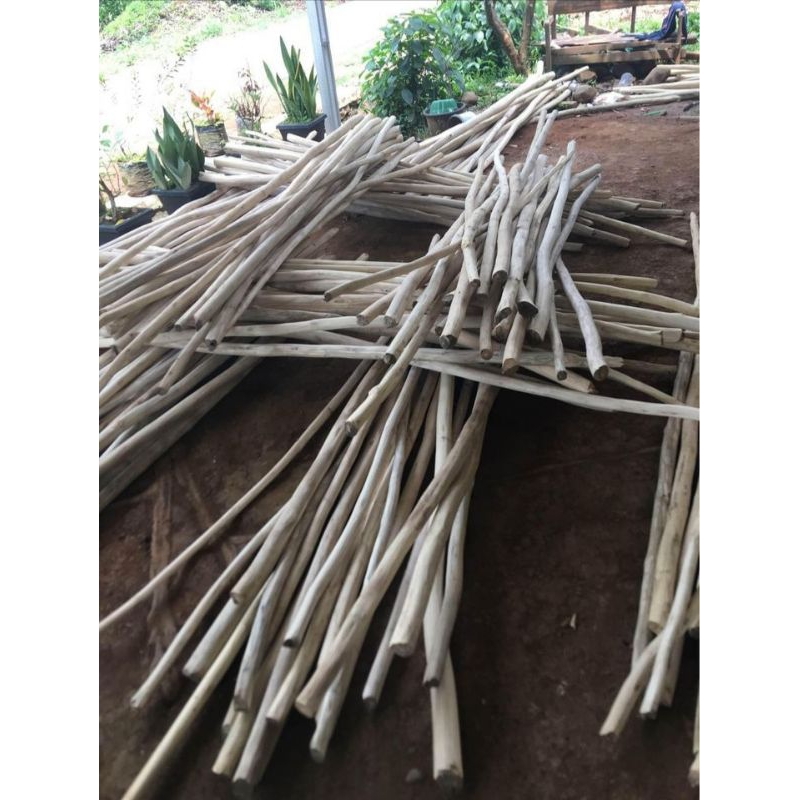 Jual ranting kayu jati panjang 1m | Shopee Indonesia