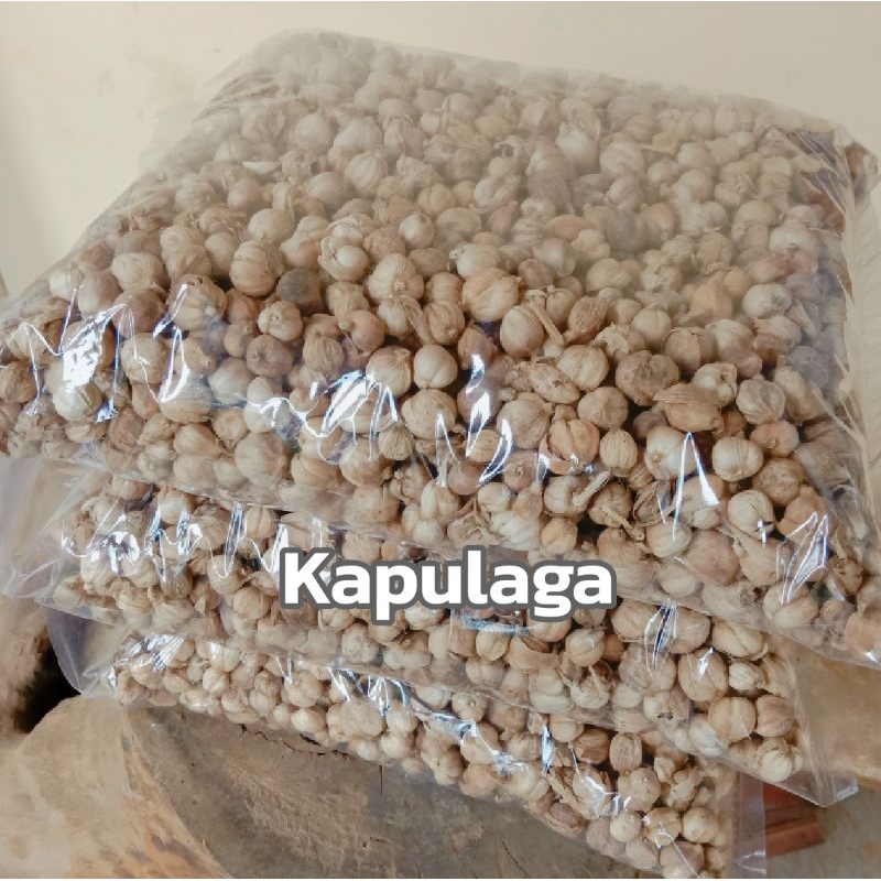 Jual Kapulaga 1kg Kapolaga Kapulaga Jawa | Shopee Indonesia