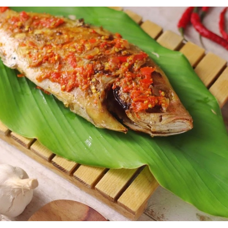 Jual ikan Kakap Bakar Rica | Shopee Indonesia