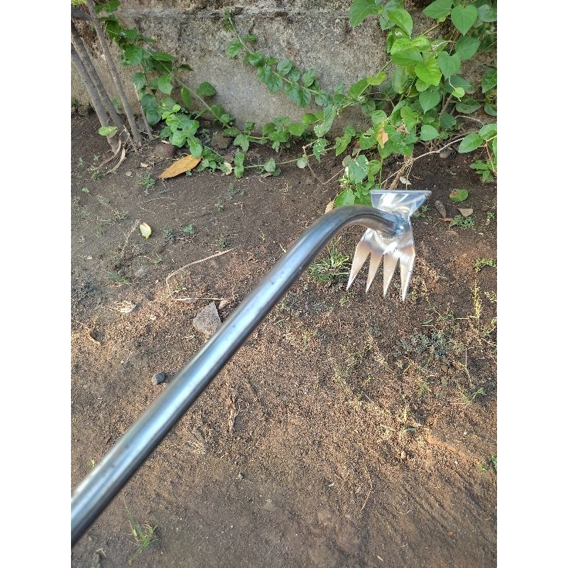 Jual garuk rumput alat pencabut rumput | Shopee Indonesia