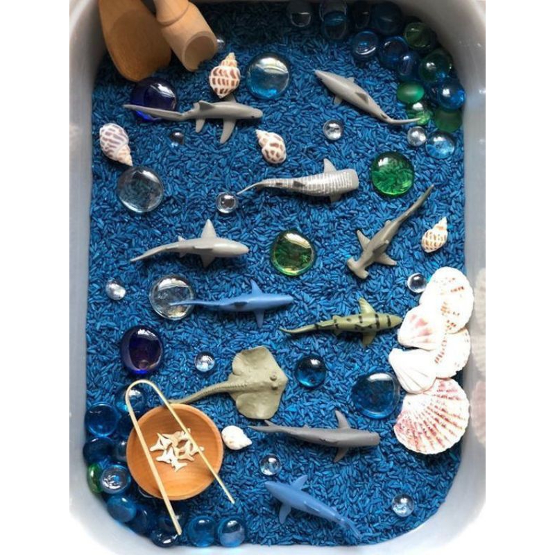 Jual Non Toxic Deep Sea Sensory Rice Play and Fun | Shopee Indonesia