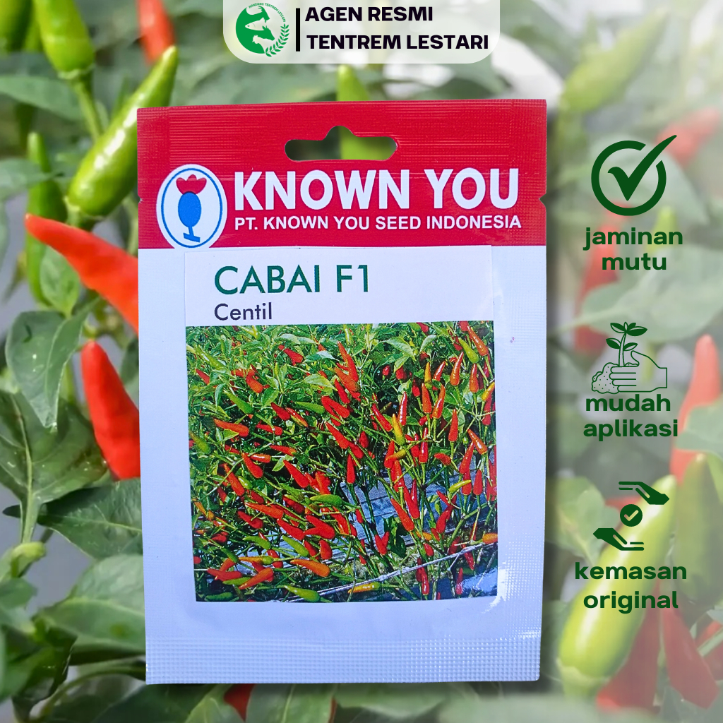 Jual Benih Cabe Rawit Tegak F1 CENTIL 100 seed Known