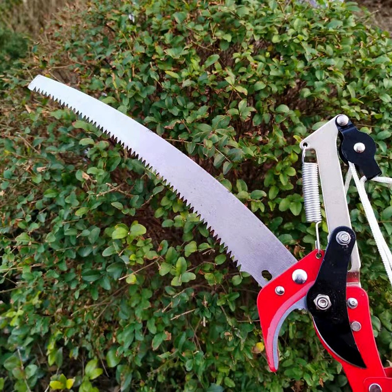 Jual KBN-07 Gergaji Dahan ranting Tree Pruner Alat Potong Gunting Dahan ...