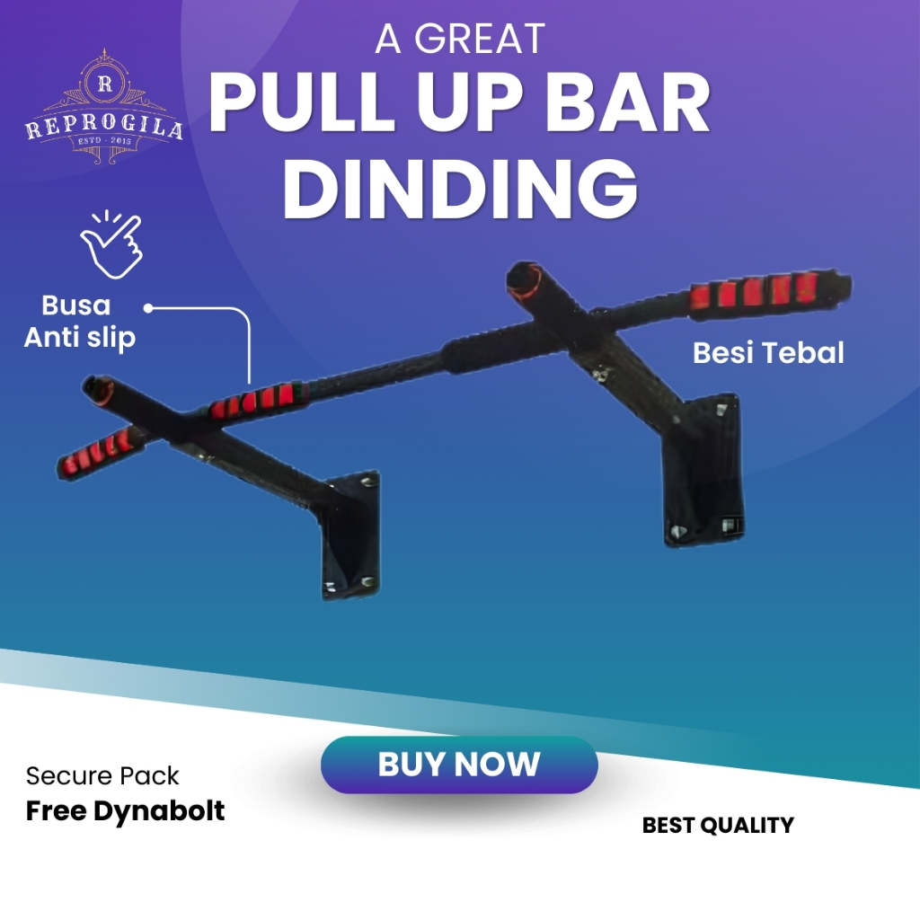 Jual Pull Up Bar / Chin Up Bar / Iron Gym / Wall Mounting / Alat Fitnes ...