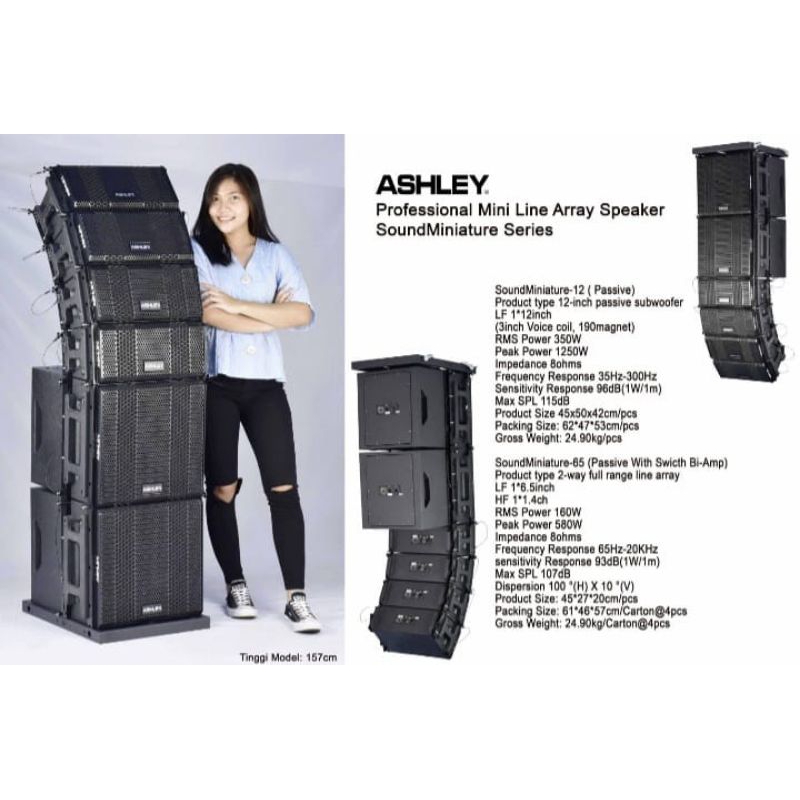 Jual Speaker Line Array Ashley Mini Soundminiature Series array 6.5 ...