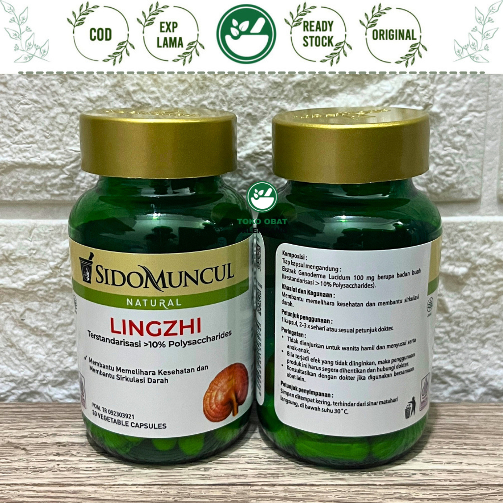 Jual SIDOMUNCUL LINGZHI 30 KAPSUL TUMOR KANKER GULA DARAH KOLESTROL ...
