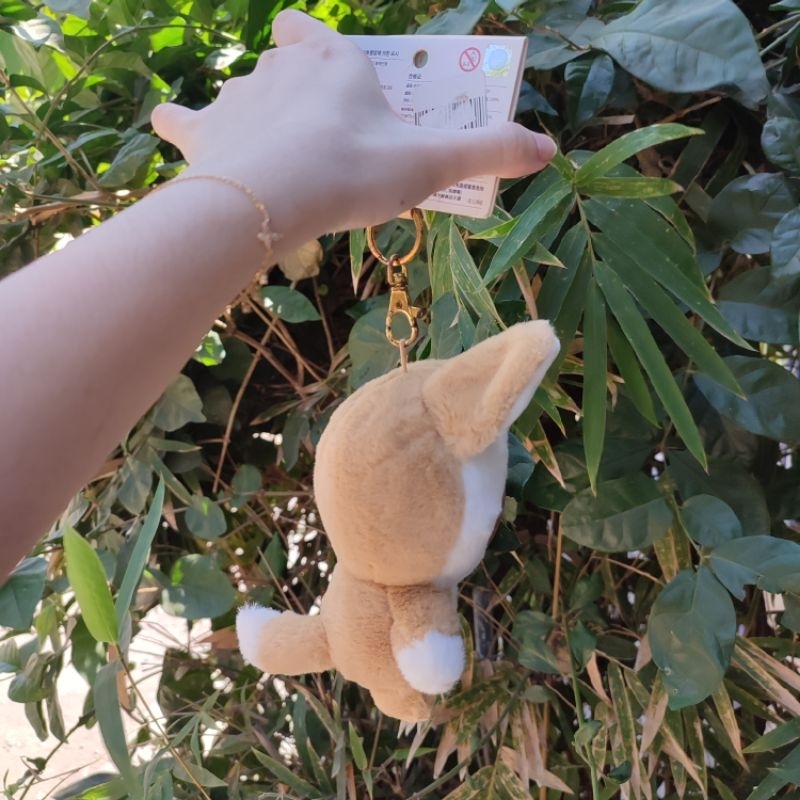 Jual LINE FRIENDS Gantungan Kunci Boneka Brown Sally Cony Choco LINE ...