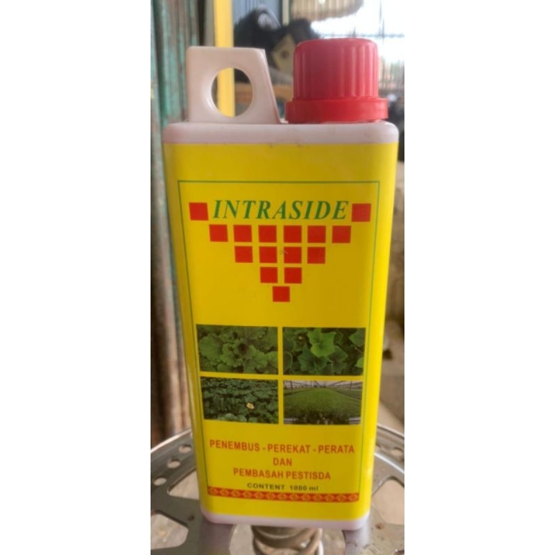 Jual racun intraside 1L | Shopee Indonesia