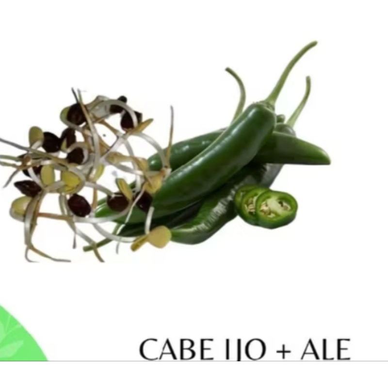 Jual Cabe ijo Ale/bungkus | Shopee Indonesia