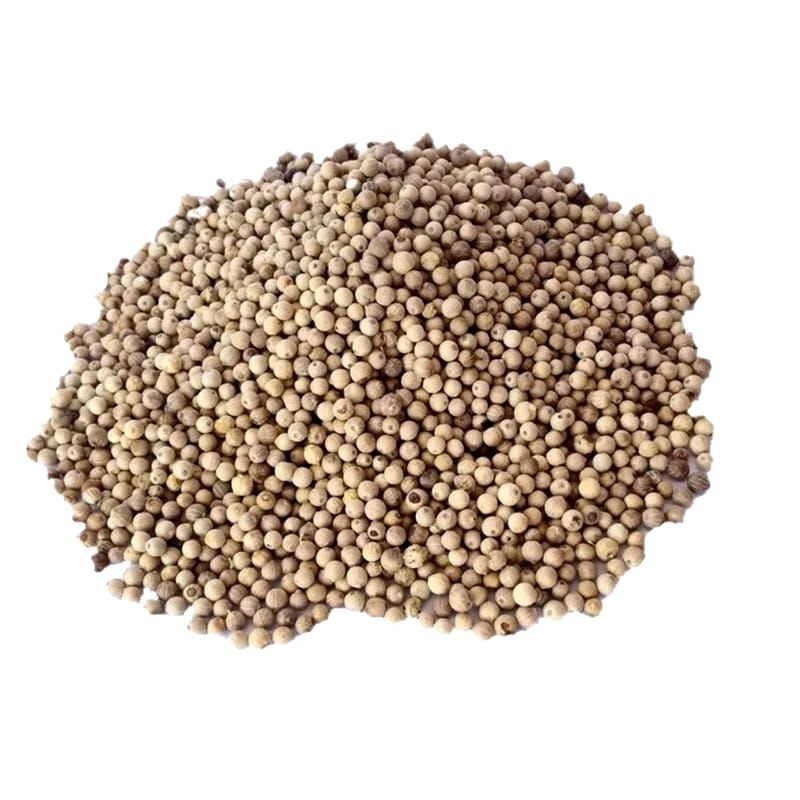 Jual Sahang Biji Asli Berkualitas 1kg | Shopee Indonesia