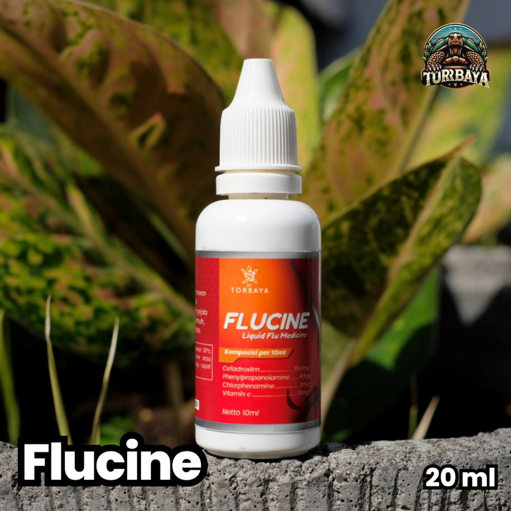 Jual Flucine Liquid Flu Medicine / Obat Flu Reptile Dan Tortoise / Obat ...