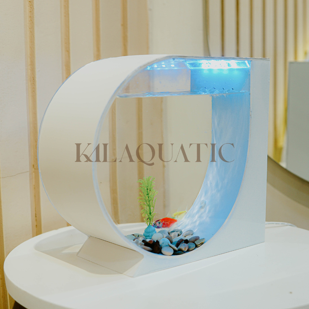 Jual Aquarium mini bulat fullset minimalis hiasan meja kantor kamar ...