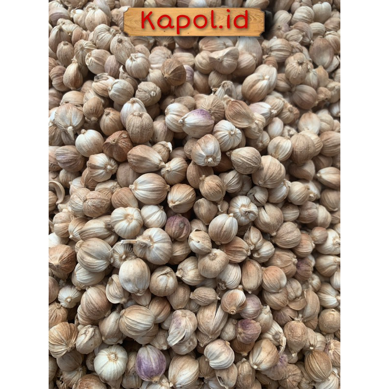 Jual kapulaga kering kapolaga organik kapulaga jawa kapol 1kg | Shopee ...