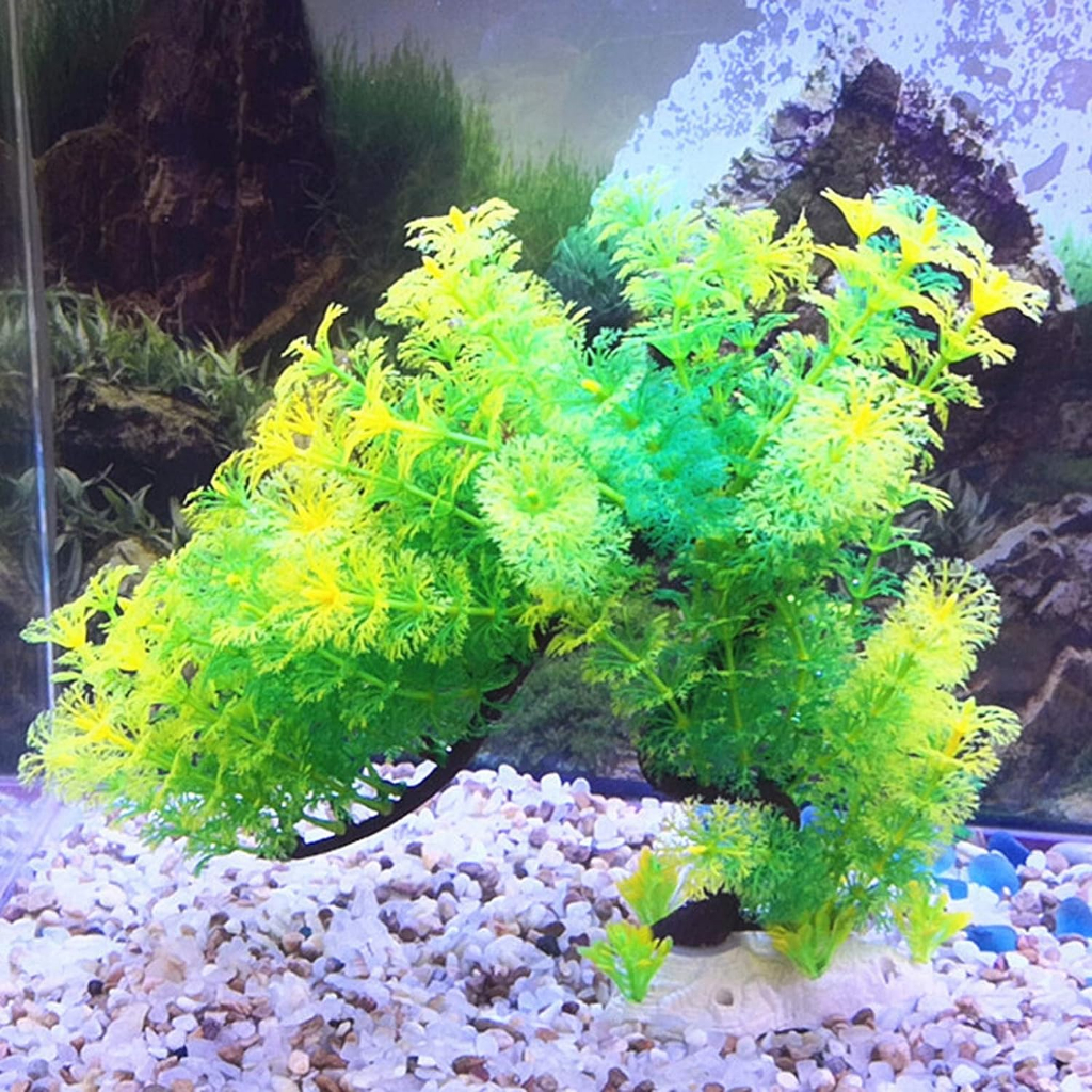 Jual Hiasan aquarium tanaman bonsai, bonsai aquarium, dekorasi aquarium