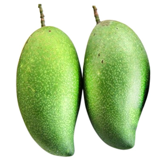 Jual Keindahan Taman dalam Ukuran Mini: Tanaman Buah Mangga Falan 60cm ...