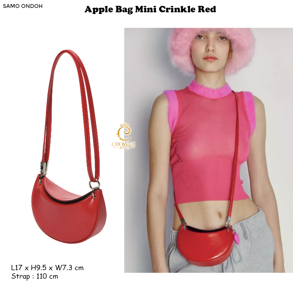 애플백 apple bag mini crinkle black