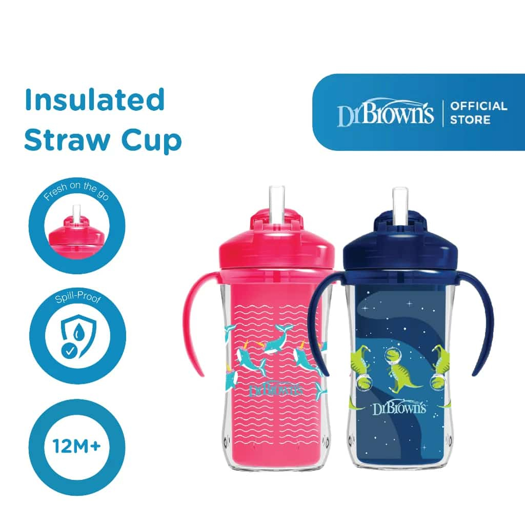 Jual DR BROWNS First Straw Cup 270ml / INSULATED STRAW CUP 300 ML ...