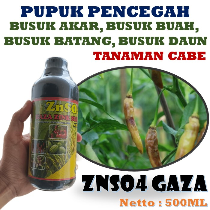 Jual Pupuk Terbaik Mengatasi Busuk Akar Busuk Buah Busuk Batang