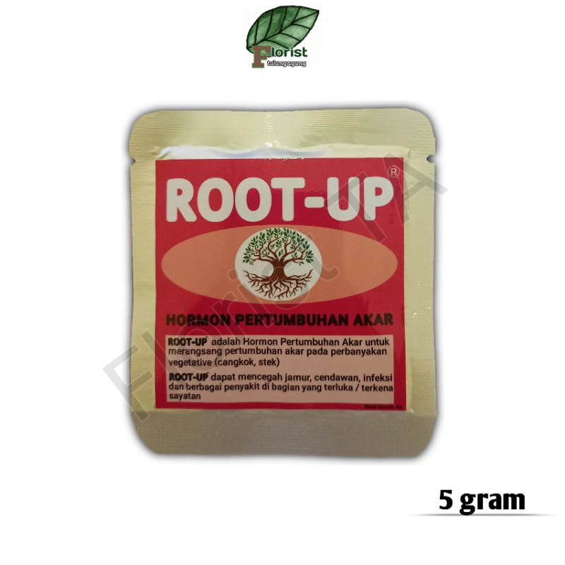 Jual Root Up Zpt Akar Hormon Perangsang Akar Tanaman Shopee Indonesia